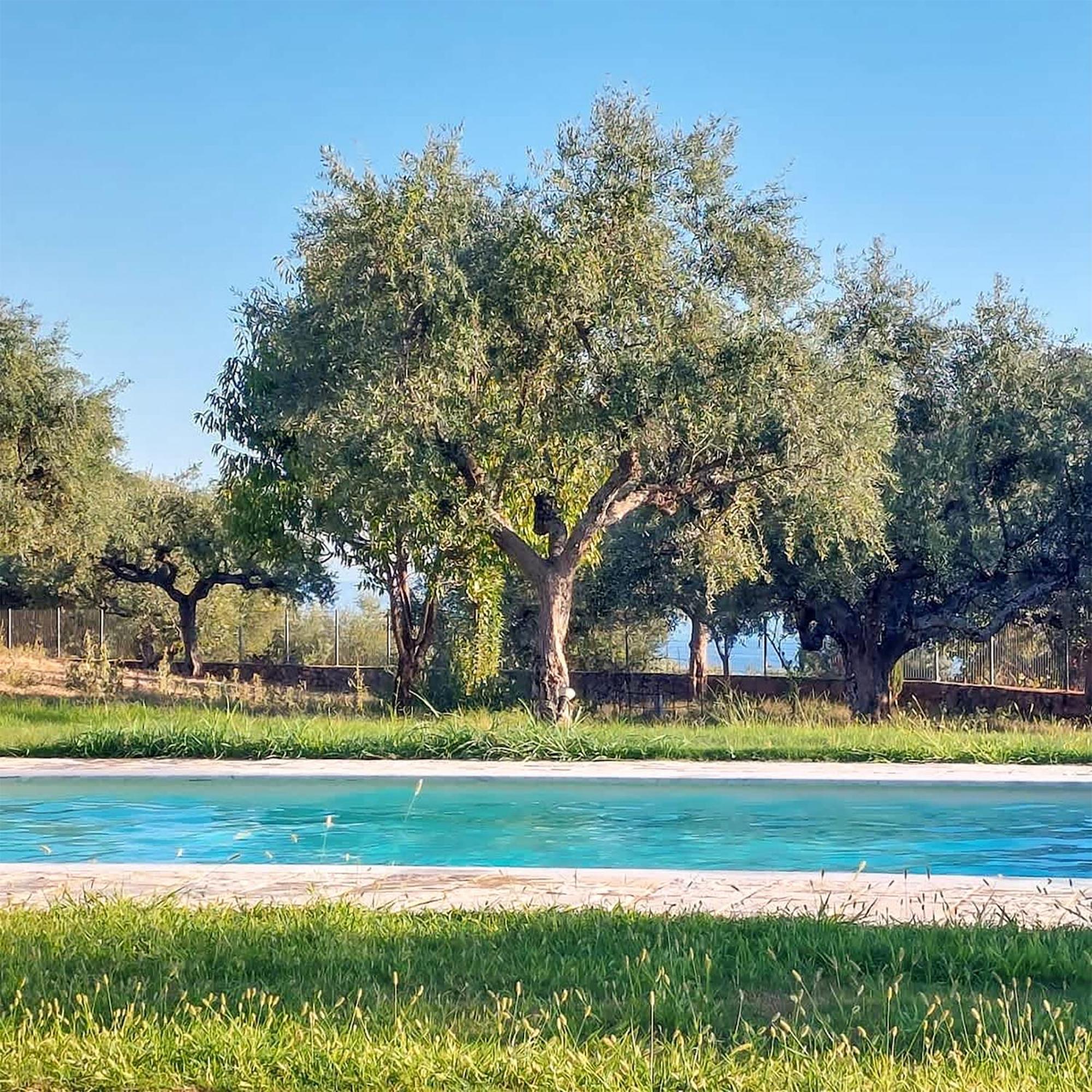 Villa Eleni - Private Pool Bliss Near Kardamili Προάστιο Εξωτερικό φωτογραφία